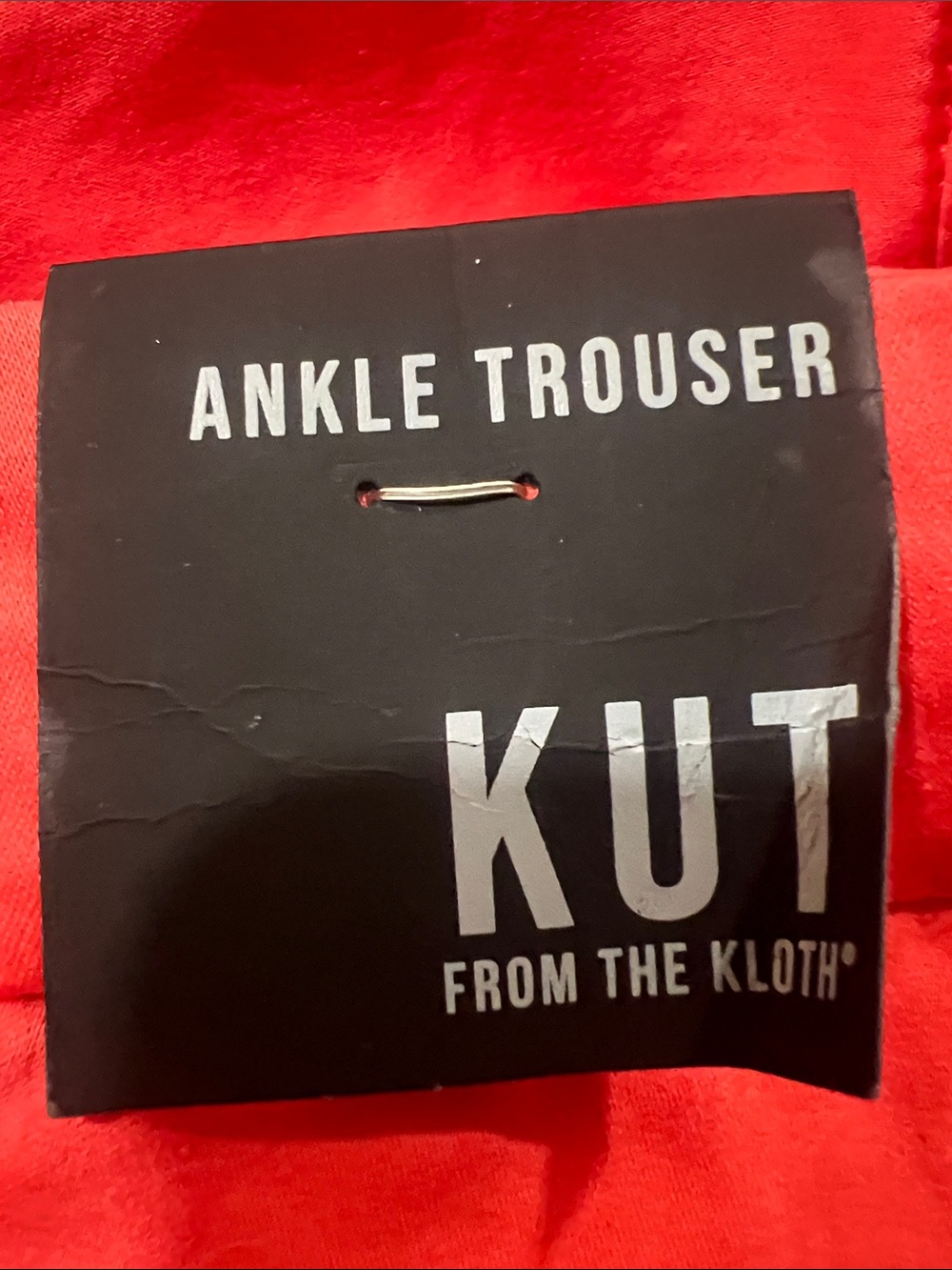 Kut from the Kloth Coral Chino Pants - Picture 2 of 4